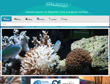 Tablet Screenshot of hokimarine.com
